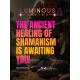 The Bridge: Premium Shamanic Healing | 2-Day Sacred Journey | Integrative Healing and Training Course