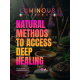 The Bridge: Premium Shamanic Healing | 2-Day Sacred Journey | Integrative Healing and Training Course