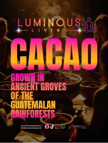 Premium Ceremonial Cacao from Guatemala - 454g or 908g