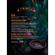 Premium Ceremonial Cacao from Guatemala - 454g or 908g